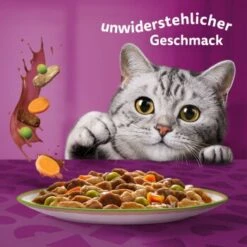 Whiskas Tasty Mix Multipack Chef's Choice In Sauce 60 X 85g -Katzenbedarfs geschäft 00442002c36da7f8b13802a1093e87c1e37cdc7c 1410719 de DE Whiskas 6