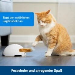 PetSafe Automatisches Katzenspielzeug Fox Den -Katzenbedarfs geschäft 038232be25f9015ce160251d628e0af5cabbc69f 1351524 de DE dbeb3a30744bbc866a12a3ecd4f619007abf0a14xn8Dpf