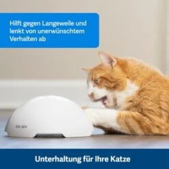 PetSafe Automatisches Katzenspielzeug Fox Den -Katzenbedarfs geschäft 08408a2d9006c3b10c605053b082403622980ada 1351524 de DE 8502feb5da21e0ab937dc8c82ecaeac4aebee886lllVcE