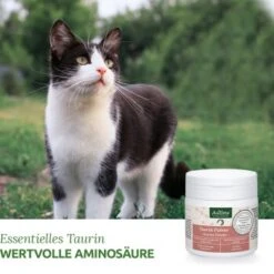 Aniforte Taurin 100g -Katzenbedarfs geschäft 0bea68d016a7aabae30732000f396c44a019efd7 1472617 de DE b3dae817e7a2eb80d599635916b5cd68212f13aaKMDIbR