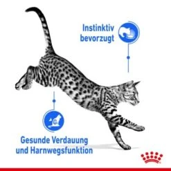 ROYAL CANIN Indoor Sterilised 12x85g In Gelee -Katzenbedarfs geschäft 1bf9d609b9998b0ce738f1e4af7089787567ddbd bded06d91e43adbf2bf2d0ffe19d0e7dcc79167a