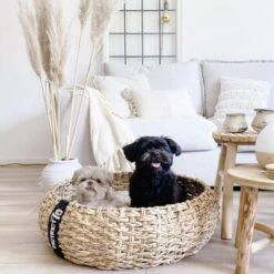 District 70 COCOON Natural M -Katzenbedarfs geschäft 1db584284c497361442002ba80ca8dd9597a35b9 1ad367312153dfaf420d5600b6e8e9dac5cec798