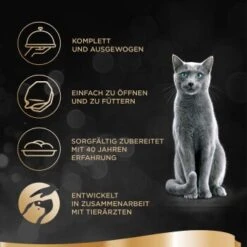 Katzenbedarfs geschäft -Katzenbedarfs geschäft 21e6e82d9f90e016e8513cc556024471e7ce84d1 1379201 de DE sheba 1
