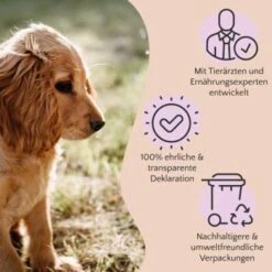 FAVLY Petfood PURE Bites Hirsch 360 G -Katzenbedarfs geschäft 236dbc85f5fb75ec5fb4367bde1445e3087ffdcd 1474003 de DE 80624b888460a5c29f043365a19496292e44fd84TlIvR8