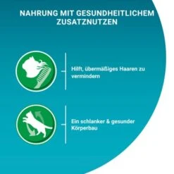 Purina ONE Indoor Formula Mit Thunfisch & Grünen Bohnen 26x85g -Katzenbedarfs geschäft 23cf269739f209f89c8d75b9a1db99778c797bb9 1099273 de DE purina one 4