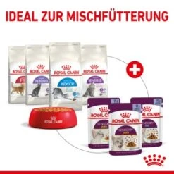 ROYAL CANIN SENSORY Smell In Gelee Für Wählerische Katzen 12x85g -Katzenbedarfs geschäft 25c7f2b0017090b05172a164b94d24299f626039 5b9b3776479c43ed4449b8634046c65b7d96c1fe
