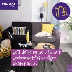 Feliway Help! 3x Nachfüllkartusche Zur Stressreduzierung -Katzenbedarfs geschäft 29ae770ba9b7f1bf9cec9031f7a2f9aa2f9f9bf4 1380137 6