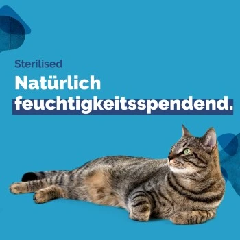 Almo Nature Almo Holistic Sterilised 30x70g Mit Huhn 5 Almo Nature Almo Holistic Sterilised 30x70g Mit Huhn – Bild 3