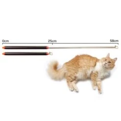 Schlitzohr Stabile Katzenangel Arnold -Katzenbedarfs geschäft 2b03aaa8061d454c3b132f3d29075b579f022315 1484671 de DE 4db6a969e0582cf4b987acff93cb66c6c6149da6OAB1hx