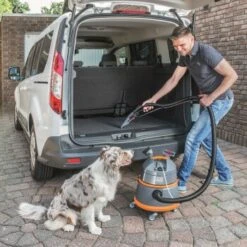 THOMAS Boxer -Katzenbedarfs geschäft 2b38b8d6abd2c0242a46e38b7e2bf51be1bb77c9 1406732 de DE 6c3f4b0d9f9b2b78d207372e0259202804743e2eRxpvll