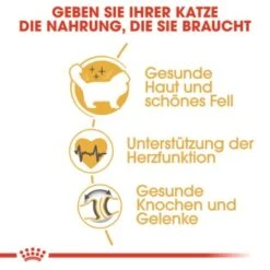 ROYAL CANIN Ragdoll Adult 10 Kg -Katzenbedarfs geschäft 2b7f4d002fcb25d0a160549b35fe8a36048495d4 cfc9c514c254f121c1e52d87d5f81af4ab650af9