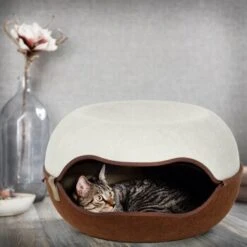 Canadian Cat Company Filz Katzennest 2.0 Weiß -Katzenbedarfs geschäft 2d709df44822ed1c554e77257ea4f2826b7f6ee6 1412670 de DE f4bc2f42c404e1ae32cb86346c8e995f0178b889j3OAow