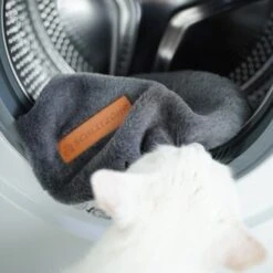 Schlitzohr Ersatzbezug Fensterbankliege -Katzenbedarfs geschäft 31be77f1e399f6136043e21b4738926da0a2a857 1484678 de DE ef0a822967d19fb8fa7e91c1bd57dd978a972d89UwPMnu