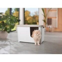 MORE FOR Katzentoilette XXL Titan -Katzenbedarfs geschäft 331a65ecbdbda6a54304894f23caf93293414f9a 41a7dcb3b92b8da7531785b268f381c1b25bbf04