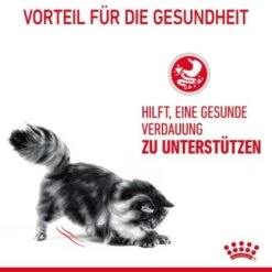 ROYAL CANIN Digestive Care 10 Kg -Katzenbedarfs geschäft 33836b78e4dfe5d72c6cf6742ac3f6af2f72a25c 1084985 4