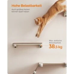 FEANDREA Clickat Katzenbrett Für Die Wand -Katzenbedarfs geschäft 338ade66aef20441d84c6879cbb7cdd9f229234a 1681427 de DE 49f3284dc1e7752ec473d61a07cc5870214b5201yzDhq7