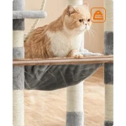 FEANDREA Kratzbaum 143cm Rauchgrau Hellgrau 15 FEANDREA Kratzbaum 143cm Rauchgrau Hellgrau -Katzenbedarfs geschäft 37be2f2514570ac16abd583e226c37e3942fb95e 1483593 de DE a6645c1e24d592fa2f7e2898455d81c2be2800bf3QlXOx