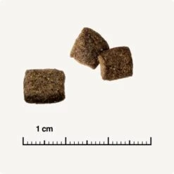 REAL NATURE WILDERNESS Adult Mixpaket Mixpaket 1, Mix-Pack -Katzenbedarfs geschäft 38c9fddfde6e364977836a7419845bd5679c428a 1267097 de DE 6 savannah 1173938004