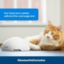 PetSafe Automatisches Katzenspielzeug Fox Den -Katzenbedarfs geschäft 436796eddc653fbc5ba6c19e00138d58f340ef52 1351524 de DE 2c07966cfa5d20e79e732d930dea56115af33e3axxjuix