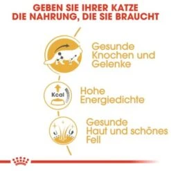 ROYAL CANIN Maine Coon 12x85g -Katzenbedarfs geschäft 45de5de28bb0cf1702840672ec10e019d1069826 1229815 de DE rc 3