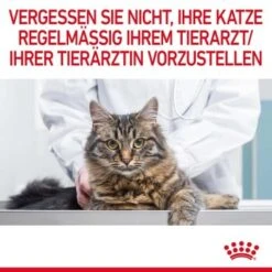 ROYAL CANIN Digestive Care 10 Kg -Katzenbedarfs geschäft 4862b8a8c7da23cfc5aa9c490985d62a1dba53ab 1084985 11