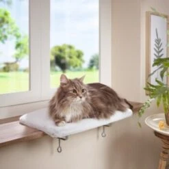 AniOne Fensterliegeplatz -Katzenbedarfs geschäft 48b4c875f72788d493de559eab0e5688d72d5fb7 b558c550dc7f6e4c2f13fbb0d43c30b225535e90