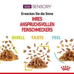 ROYAL CANIN SENSORY Smell In Gelee Für Wählerische Katzen 12x85g -Katzenbedarfs geschäft 4a632532d23d065e189b82401db5c561b6749e74 bbe7e159ee2cfcc0155771b211da953377ec5c40