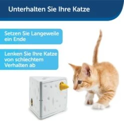 PetSafe Automatisches Katzenspielzeug Cheese -Katzenbedarfs geschäft 4c112de7fe5af21942e197c5273a2c12e4aecd5f 1418723 de DE ac6350c5fa35502dd40d2834518255dfc3ab3dc68jakb9