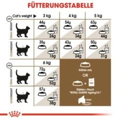 ROYAL CANIN Ageing 12+ Sterilised 4 Kg -Katzenbedarfs geschäft 4ce8eb38a167b532004afcb21e5f40042d29ae5a 1201903453cc527013bd50d4537b9f7016918cfe