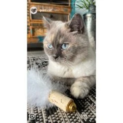 Kater Kasimir Deluxe Set Mit 9 Beliebten Katzenspielzeugen Aus Naturmaterial Und Handgemachtem CATDAD Armband -Katzenbedarfs geschäft 4d777484de5457a02028f595b53fdb1b69e309d7 1408151 de DE 911e17a5e45692f3789ac8bc9aee946048898d74SkrQo3