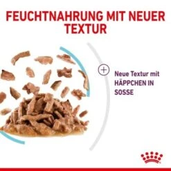 ROYAL CANIN SENSORY Feel In Soße Für Wählerische Katzen 12x85g -Katzenbedarfs geschäft 4d93715bc5a9692f88cd6cacd114ce790b7d5c94 27a1bcd0d7577e59068b36e49f089111bfb1eb06