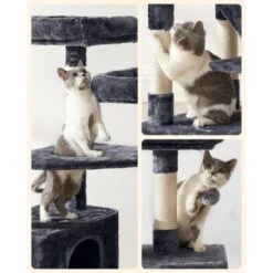 FEANDREA Katzenbaum 142cm Hellgrau Dunkelgrau -Katzenbedarfs geschäft 5071281c5c78d6bb9462bee7f019c08f31cc23a6 1483569 de DE c7b97977490699e7b523c9b7a192ab5b0704d433CGxWn2