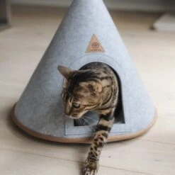 Canadian Cat Company Katzenzelt Cone -Katzenbedarfs geschäft 5109d27ef761061b6b743871ab0498da3478f504 1394210 de DE f112ffaf078c6f8bf03764511a0d90aab2c21021HdDAgd