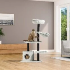 Silvio Design Katzenbaum Lia -Katzenbedarfs geschäft 62e2ea4eab6be2aad743828d77dbaf6d3e56a28b f03aa3daf7be6ed3d3a63af9a264290918d6895e