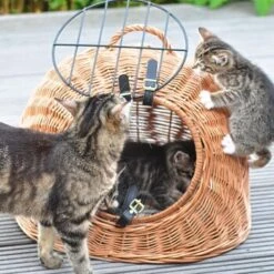 Aumüller Rattanhöhle Gesottene Weide 8 Aumüller Rattanhöhle Gesottene Weide -Katzenbedarfs geschäft 644da56b8da52f185185b101fb3460690748ee17 ed38553d0e52453b951e62f08b371eb8a64cf3ed