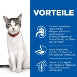 Hill's Science Plan Senior 11+ Mit Huhn 3 Kg 13 Hill's Science Plan Senior 11+ Mit Huhn 3 Kg -Katzenbedarfs geschäft 65355ea3910df3a9bf78bcc29cf7e0f454b27f86 52742023359 4