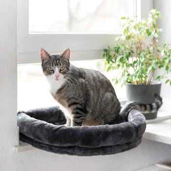 Canadian Cat Company Fensterliege Loveseat 3 Canadian Cat Company Fensterliege Loveseat