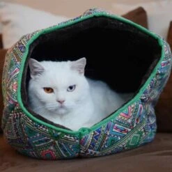 Canadian Cat Company Katzentunnel COSMO M -Katzenbedarfs geschäft 67f448259cbca2b76f0f056d6321e3f462cbbfb2 1412665 de DE 5bb2b25340ddb934c05b11da4b3410ce26fcf1f8fEc8B6