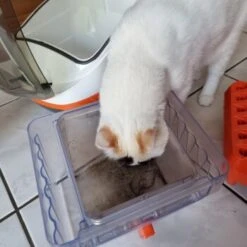 THOMAS Staubsauger 17 THOMAS Staubsauger -Katzenbedarfs geschäft 6a70c632a0bab42059bec4b43d139a5d2e40f9ae 1406733 de DE e7e44b3ec14bf6f4d989c5887e4e07bdd5895c48xakBwm