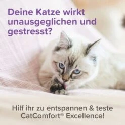 Beaphar CatComfort Excellence Starter-Kit 48ml 17 Beaphar CatComfort Excellence Starter-Kit 48ml -Katzenbedarfs geschäft 6fdca6f354e1543df4c6d643f7d274cd6651ccda 1416646 1 2