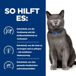 Hill's Prescription Diet D/d Food Sensitivities 3 Kg -Katzenbedarfs geschäft 715c2a71513f1156c0e6f5987afb0d86de83e8ad 52742047584 5
