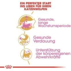 ROYAL CANIN Maine Coon Kitten 4 Kg 11 ROYAL CANIN Maine Coon Kitten 4 Kg -Katzenbedarfs geschäft 762fe3d95c521f1c9aed31bc11ea5f813cb64625 48abad1c00ba32352c5f4e40b8a5a9d5e4dec65f