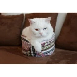 Canadian Cat Company Katzenschiff MAJA -Katzenbedarfs geschäft 766deb875332e5f5e0863d1a2d85001bb4ef9b90 1412668 de DE bd0dc038d80f4f0d2f7a8d881a21a125e897f0d3Dfo1wn