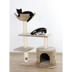 Kerbl Kratzbaum Banana Leaf Jade -Katzenbedarfs geschäft 76da0e2291b796ed5e6d437459db13ca9d50faaa 9bb330ca7b7ab6e046ff929a6710ba8bd89b78aa