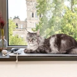 Canadian Cat Company Filzmatte Für Fensterbank Hellgrau S 11 Canadian Cat Company Filzmatte Für Fensterbank Hellgrau S -Katzenbedarfs geschäft 7885f06a61233bc404e6a3aa7f8cd882fde8d497 1498575 de DE 613cf8659fcca6edb1e226239a406f420c510b04Tro7m3