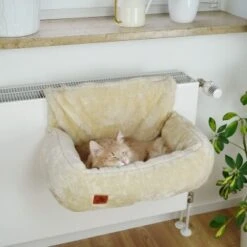 Schlitzohr Heizungsliege Lucky Beige -Katzenbedarfs geschäft 7bab29708c56b6f70695735987b821094f74efb9 1484673 de DE 775053056e82816b2424b888f536a523a0880ea7ZfMupV