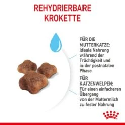 ROYAL CANIN Mother & Babycat 2 Kg -Katzenbedarfs geschäft 7de9161ec8af5d8e5fb59d6589cba97c3ecae1bf 3182550707329 5
