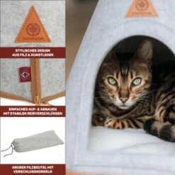 Canadian Cat Company Katzenzelt Cone -Katzenbedarfs geschäft 809a3c44a93f6813e3f594a392c884994f2cb8be 1394210 de DE c6578ffbb5eb34e2b0106dd76bcafeaede82606a8Hawov