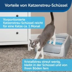 PetSafe ScoopFree Katzentoilette -Katzenbedarfs geschäft 81cdf5f400ea2a62c380bf858c1534e355a2daae 1404889 de DE 2d4420521e7c837cfc3a693625905b8a6487449eOQl3ks