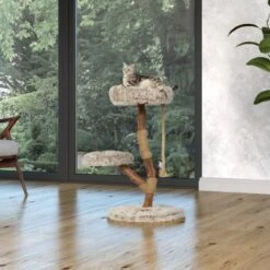 Neue Produkte -Katzenbedarfs geschäft 87f0327374e5809e6ea9f0a09dbc2d6a0f7e7402 1407289 Milieu MF K